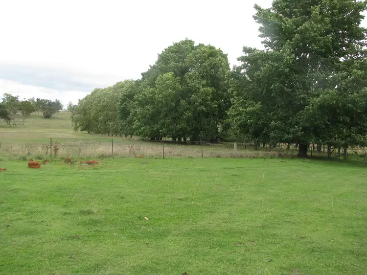 Fourth view of Homely rural property listing, Lot 2 Burns road, Armidale NSW 2350