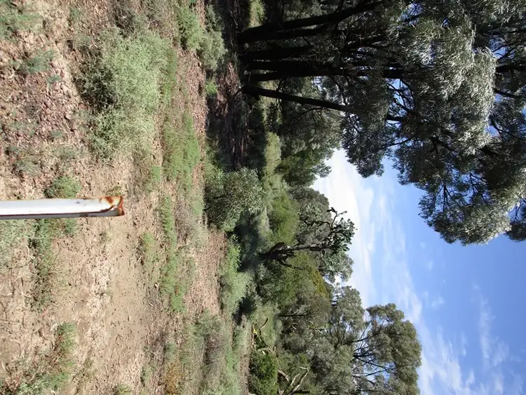 Seventh view of Homely rural property listing, Address available on request