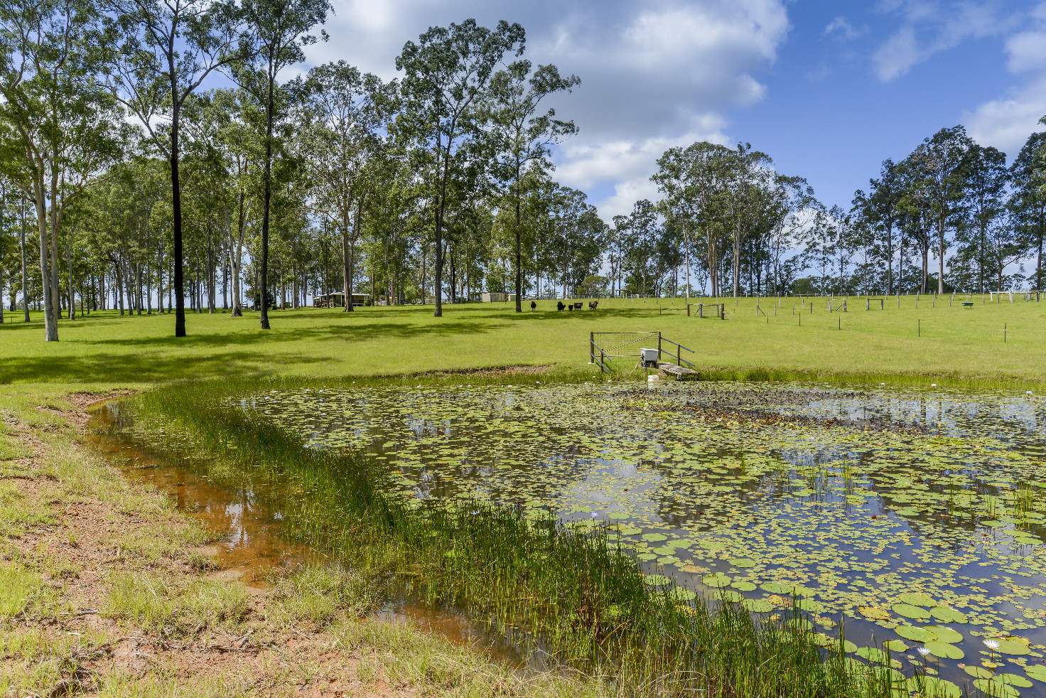 Main view of Homely house listing, 3516 Orara Way, Kungala NSW 2460