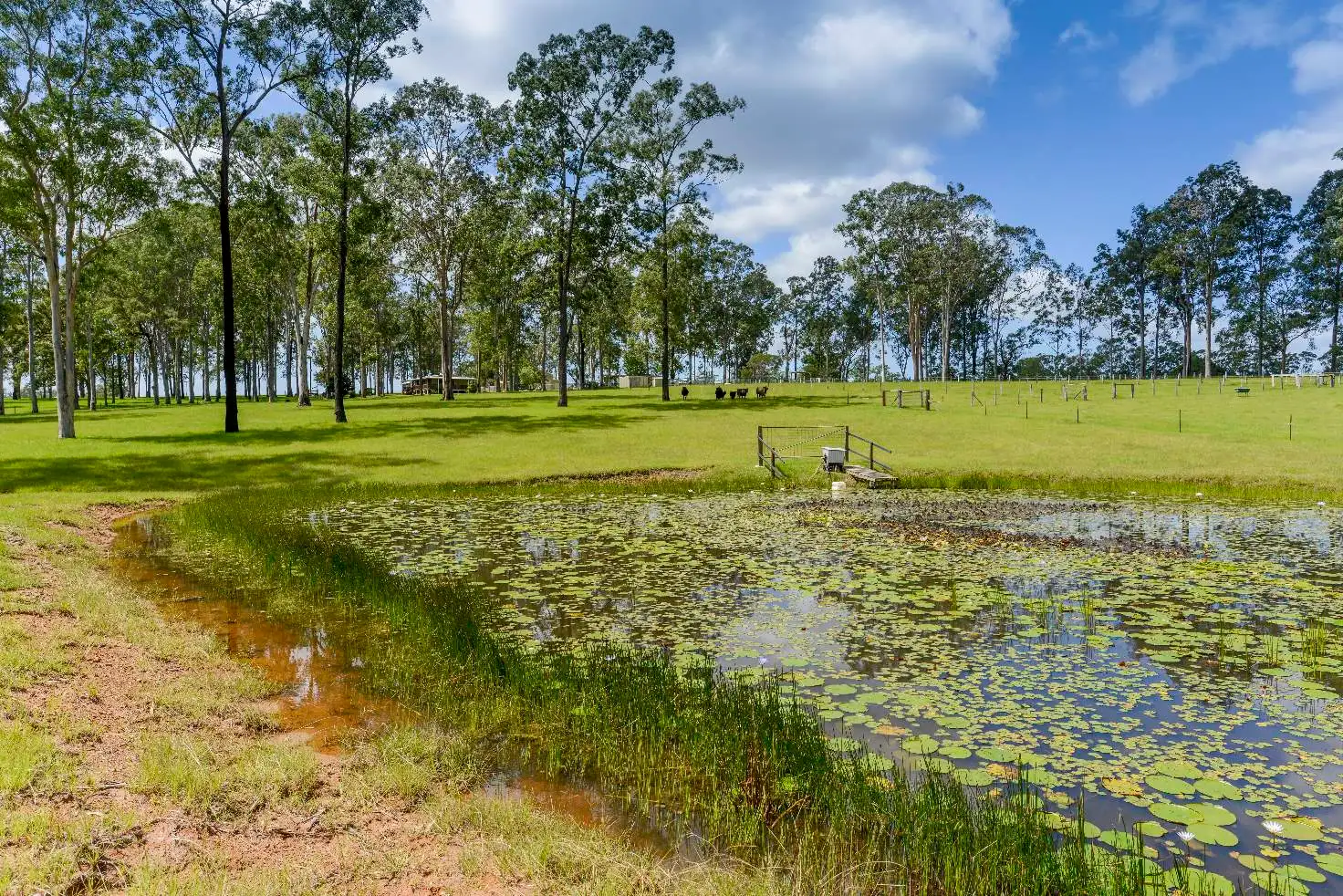 Main view of Homely house listing, 3516 Orara Way, Kungala NSW 2460