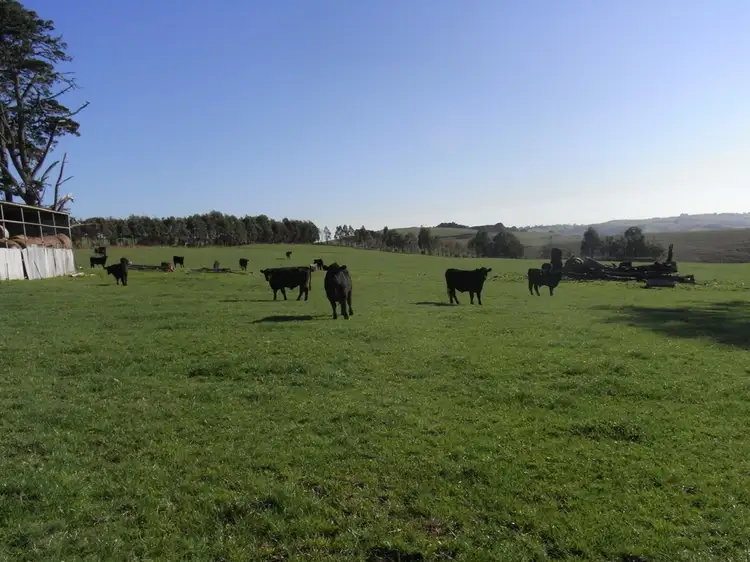 Fourth view of Homely rural property listing, 200 Sheepways Road, Kongwak VIC 3951