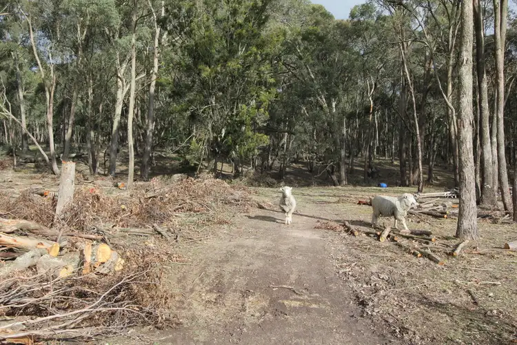 Seventh view of Homely land listing, 7A Bibbys Lane, Garibaldi VIC 3352