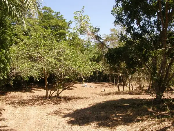 Fifth view of Homely land listing, Lot 5 Mountney Road, Strathdickie QLD 4800