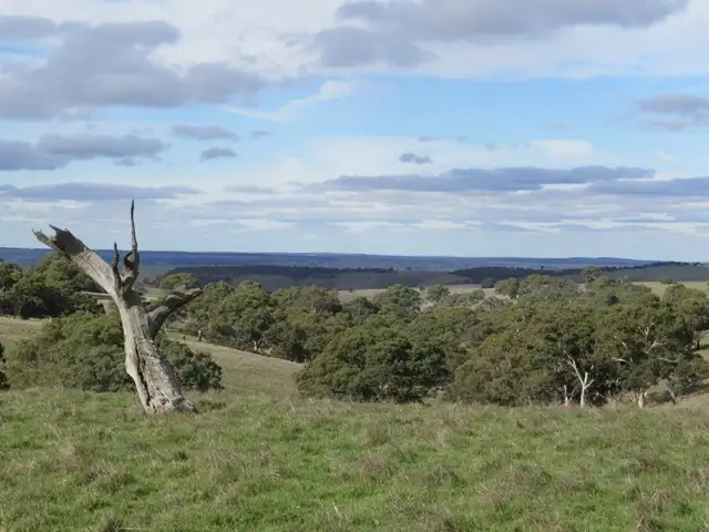 Fourth view of Homely land listing, 1383 Wiles Fire Track, Wistow SA 5251