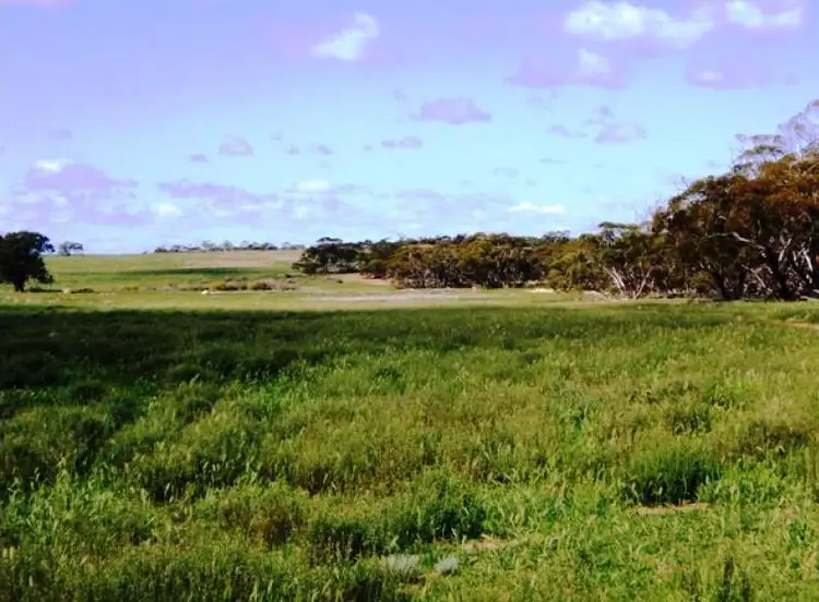 Seventh view of Homely rural property listing, Weetbix's Bennie Road, Wirrulla SA 5661