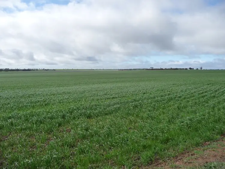 Fourth view of Homely rural property listing, # Dow Wells Road, Nhill VIC 3418