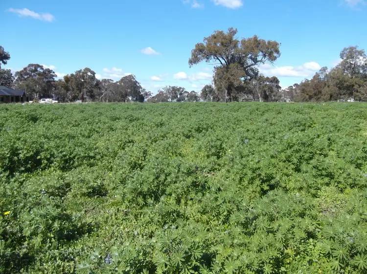 Sixth view of Homely land listing, Lot 404 Brushtail Brow, Bakers Hill WA 6562