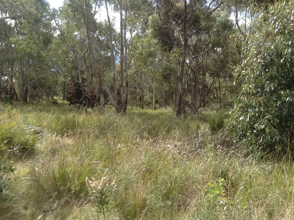 Main view of Homely land listing, 15 Matthew Flinders Drive Alonnah, Bruny Island TAS 7150