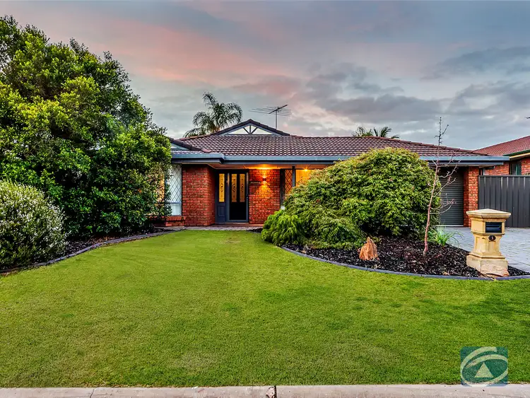 5 Williams Street, Evanston Park SA 5116