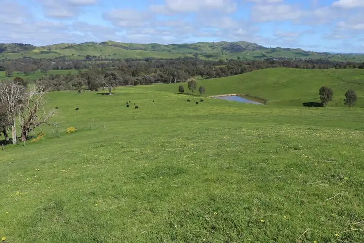 Fourth view of Homely rural property listing, 239 Murrindindi Road, Murrindindi VIC 3717