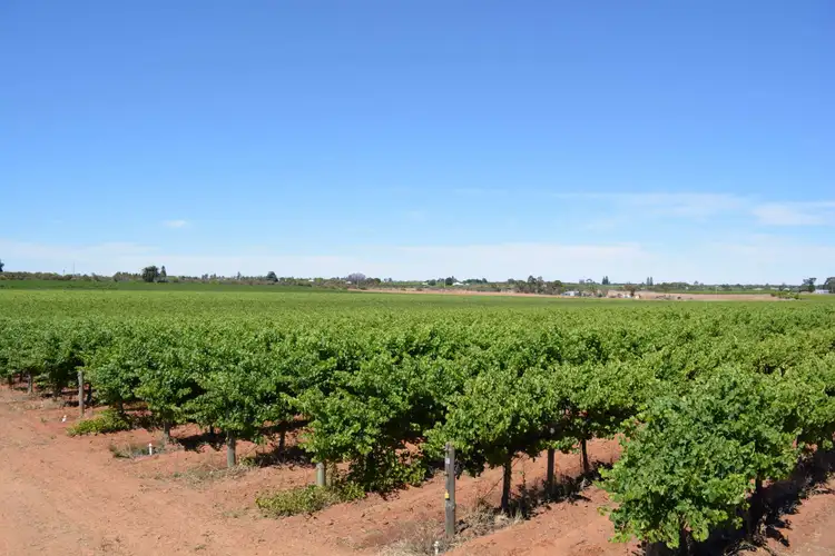 Fourth view of Homely land listing, 54 Yelta Road North, Merbein VIC 3505