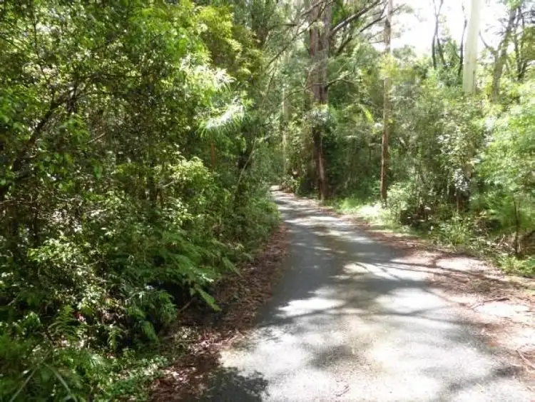 Fifth view of Homely land listing, 1 Mimosa Road, Springbrook QLD 4213