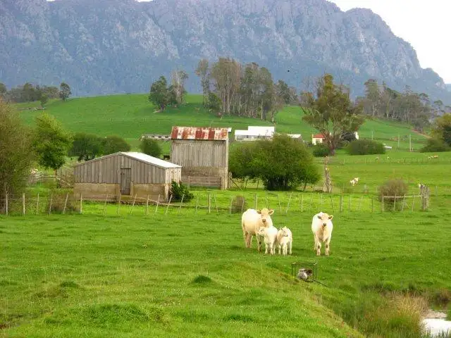 Third view of Homely rural property listing, 138a Main Street, Sheffield TAS 7306