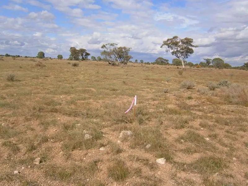 Main view of Homely land listing, 82 Old Coach Road, Blanchetown SA 5357