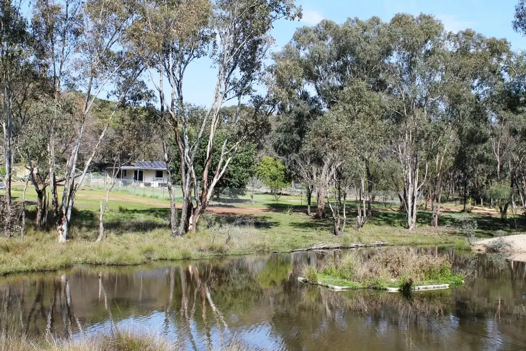Main view of Homely rural property listing, 239 Cypress Drive, Mudgee NSW 2850