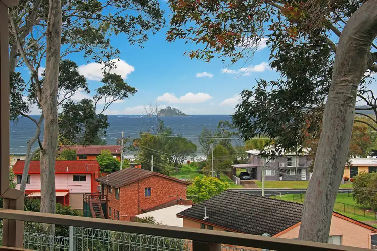 Main view of Homely house listing, 127 Palana Street, Surfside NSW 2536