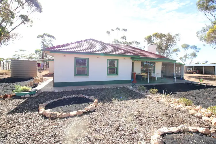 Main view of Homely house listing, 1242 Heinrich Road, Yinkanie via, Moorook SA 5332