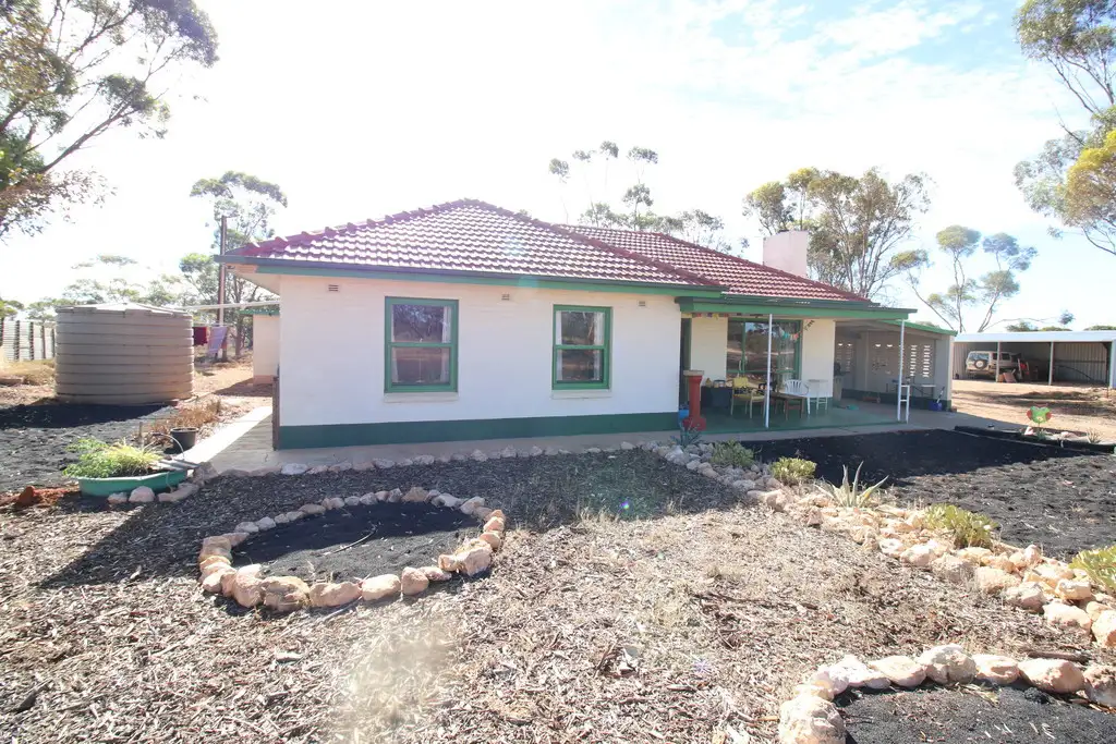 Main view of Homely house listing, 1242 Heinrich Road, Yinkanie via, Moorook SA 5332
