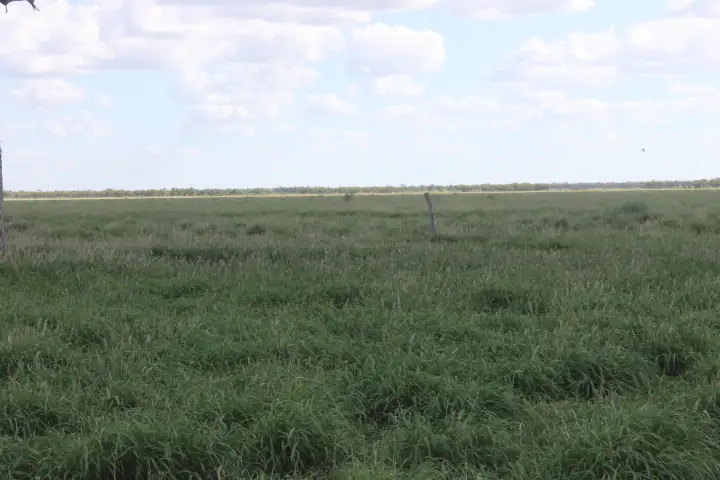 Second view of Homely rural property listing, 55140 Capricorn Highway, Barcaldine QLD 4725