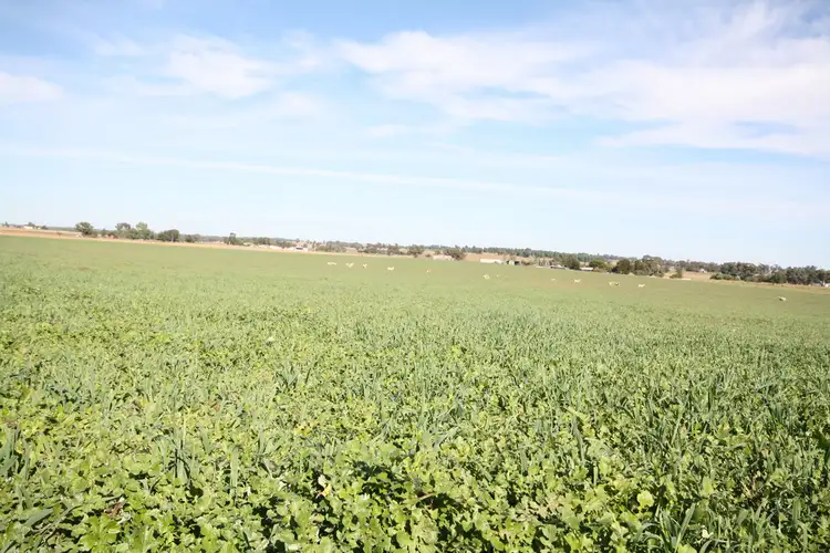 Seventh view of Homely house listing, 24L Cooreena Road, Dubbo NSW 2830