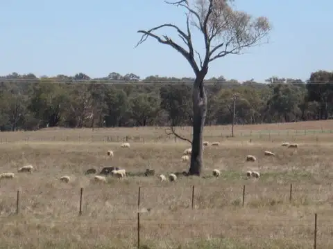 Seventh view of Homely house listing, 57 Mahers, Cookardinia NSW 2650