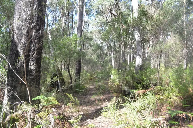 Fourth view of Homely rural property listing, 1036 Meryla Rd, Meryla NSW 2577