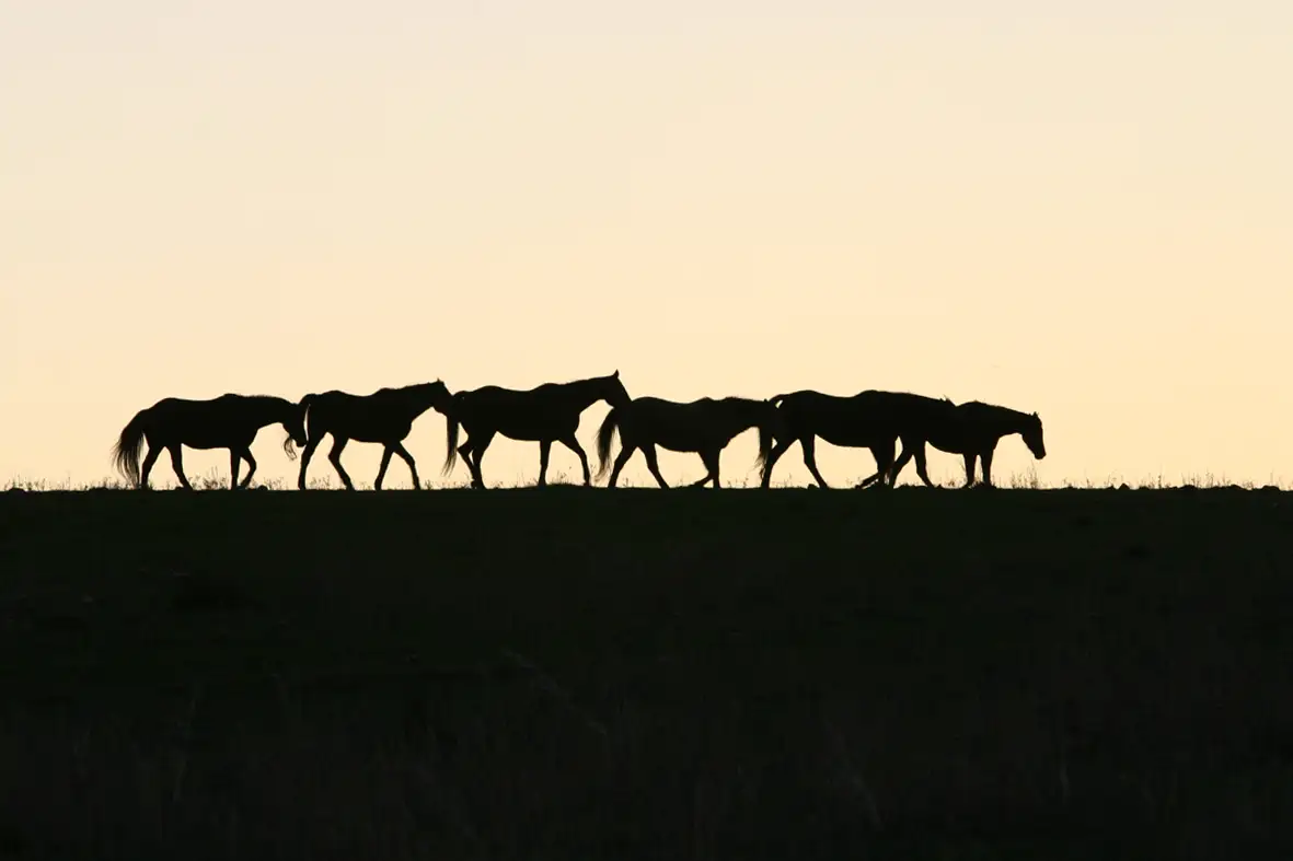 Main view of Homely land listing, 24 Onkaparinga Valley Road, Birdwood SA 5234