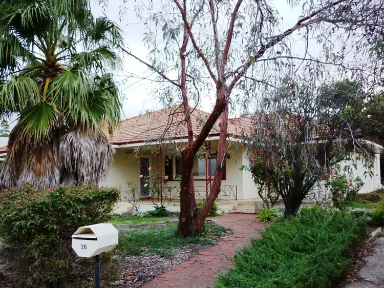 Main view of Homely house listing, 36 Arbour Street, Katanning WA 6317