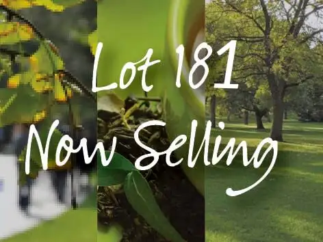 Main view of Homely land listing, 46 Coolimba Turn, Baldivis WA 6171