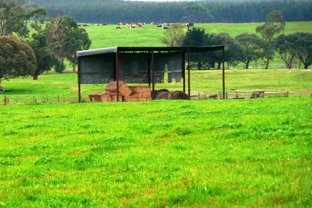 Second view of Homely land listing, Lot 701 Hinton Road, Suttontown SA 5291
