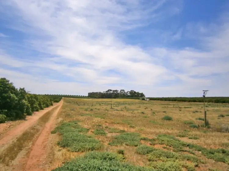Lot 20 Playford Road