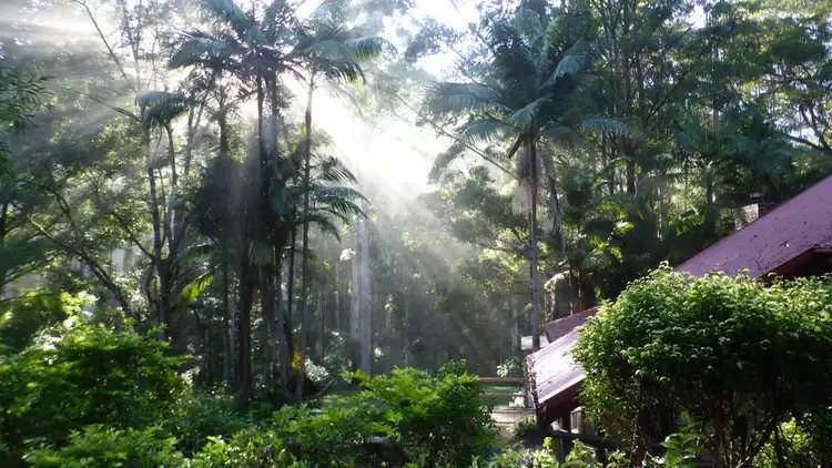 Second view of Homely rural property listing, 840 Blue Knob Road, Nimbin NSW 2480