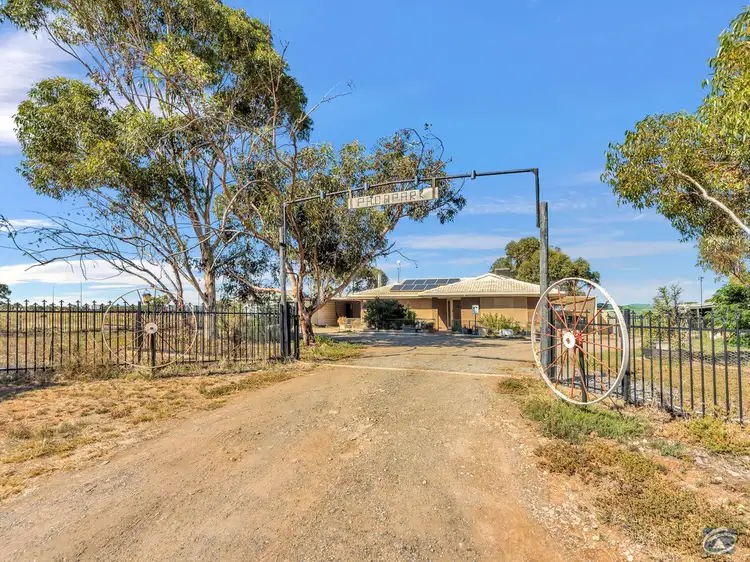Main view of Homely house listing, Lot 315, 20 Halstead Road West, Two Wells SA 5501