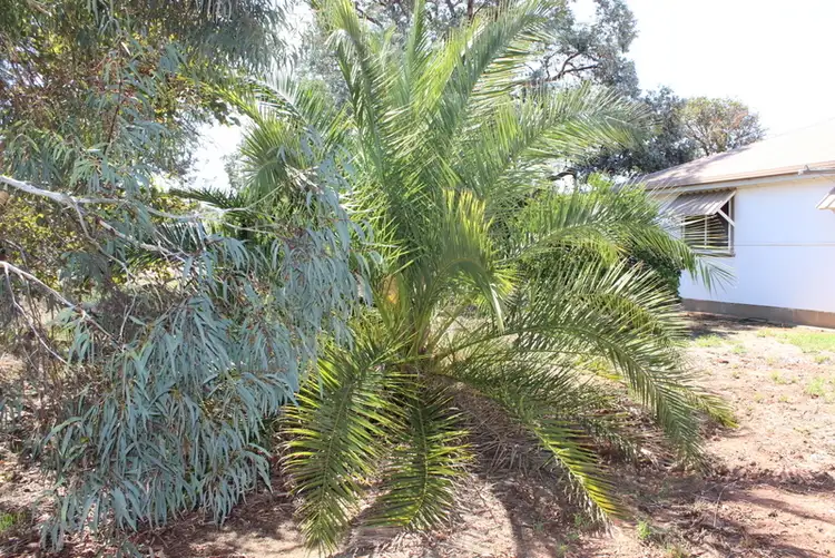 Sixth view of Homely house listing, 18 Britannia Street, Temora NSW 2666