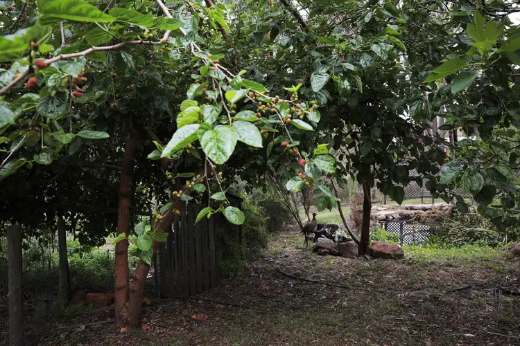 Fourth view of Homely land listing, Address available on request