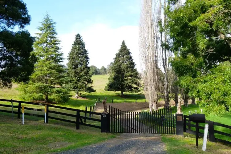 Main view of Homely rural property listing, 813 Yowrie Rd, Cobargo NSW 2550