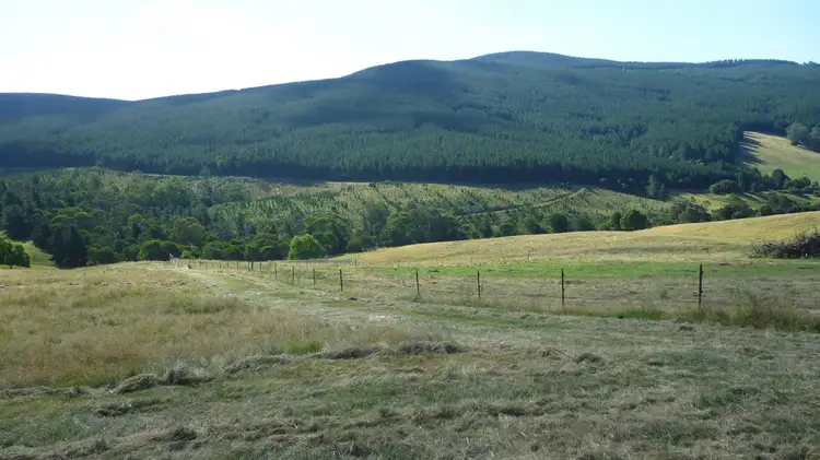 Fourth view of Homely rural property listing, Lot 3 Old Tumbarumba Road, Tumut NSW 2720
