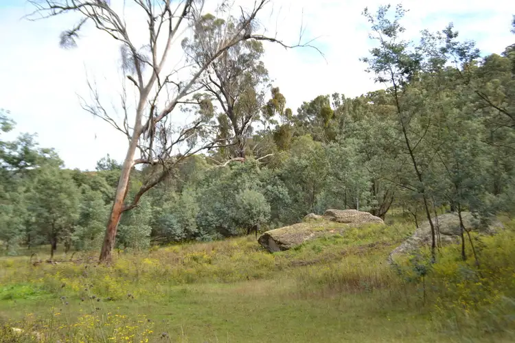 Seventh view of Homely rural property listing, 6502 Castlereagh Highway, Mudgee NSW 2850