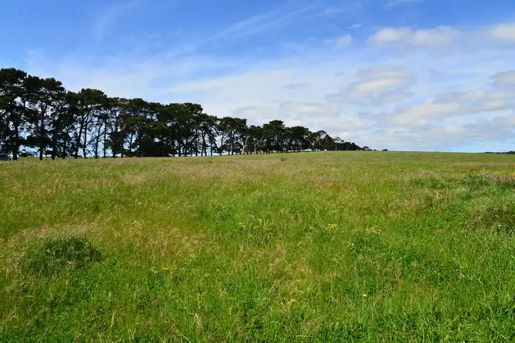 Fourth view of Homely rural property listing, 201-229 Curlewis Road, Wallington VIC 3222