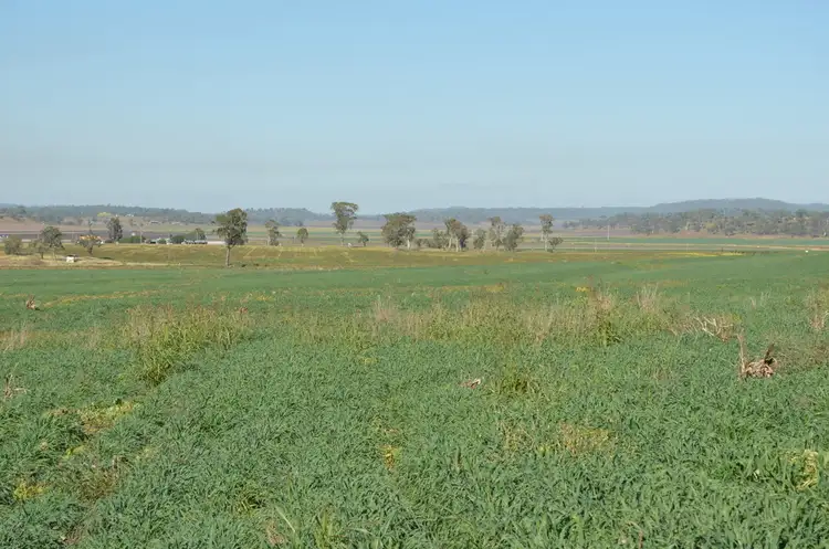 Seventh view of Homely rural property listing, 766 Umbiram Road, Umbiram QLD 4352