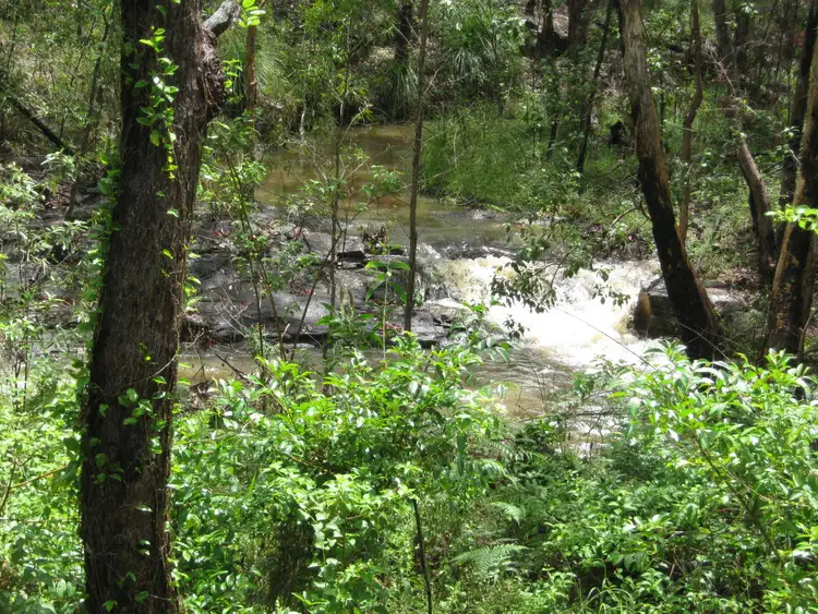 Seventh view of Homely rural property listing, 1394 John Clifford Way, Lowmead QLD 4676