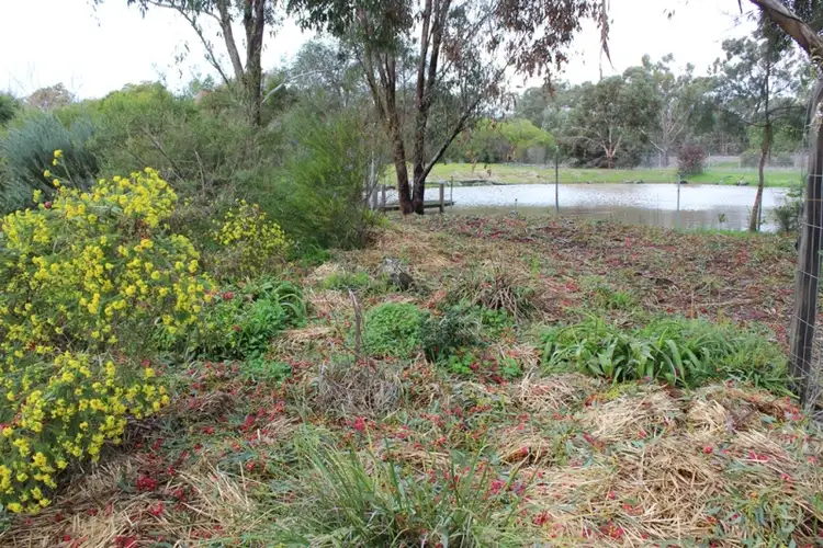 Fourth view of Homely house listing, 45 McDiarmids Road, Violet Town VIC 3669