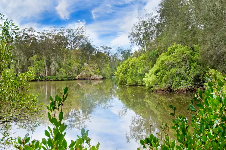 Fourth view of Homely rural property listing, 62 River Oaks Drive, Kendall NSW 2439