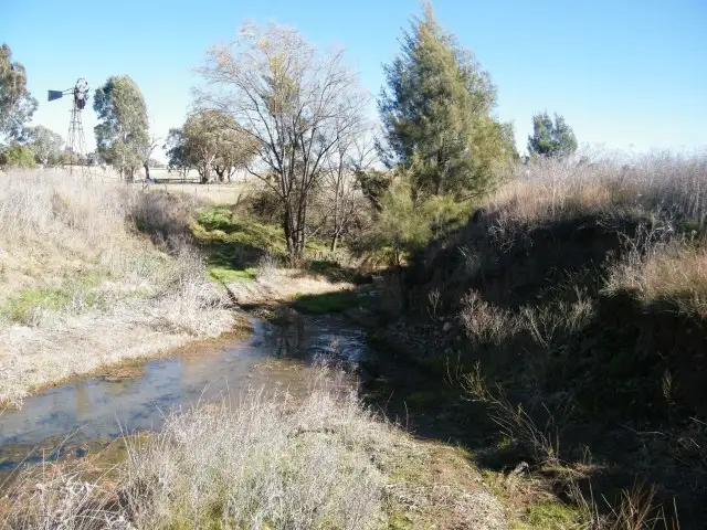 Main view of Homely rural property listing, 494 Hamiltons Road, Quirindi NSW 2343