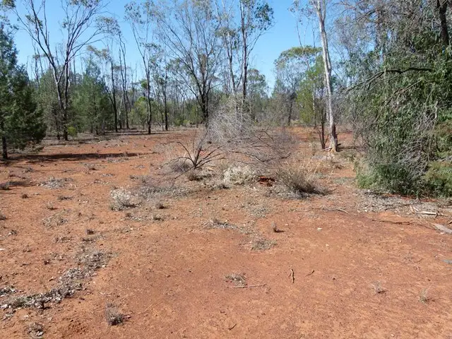 Seventh view of Homely rural property listing, 10 Daymar Rd, Thallon QLD 4497