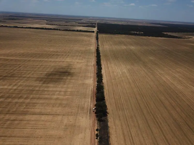 Fourth view of Homely rural property listing, 'Alunga' Lots 8445 & 10948 Balla-Whelarra Road, Ogilvie WA 6535
