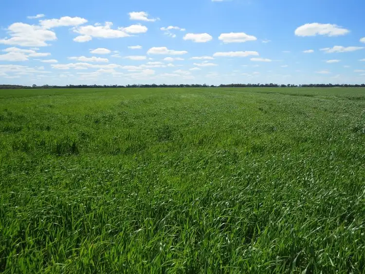 Main view of Homely rural property listing, 94 Aratula North Road, Deniliquin NSW 2710