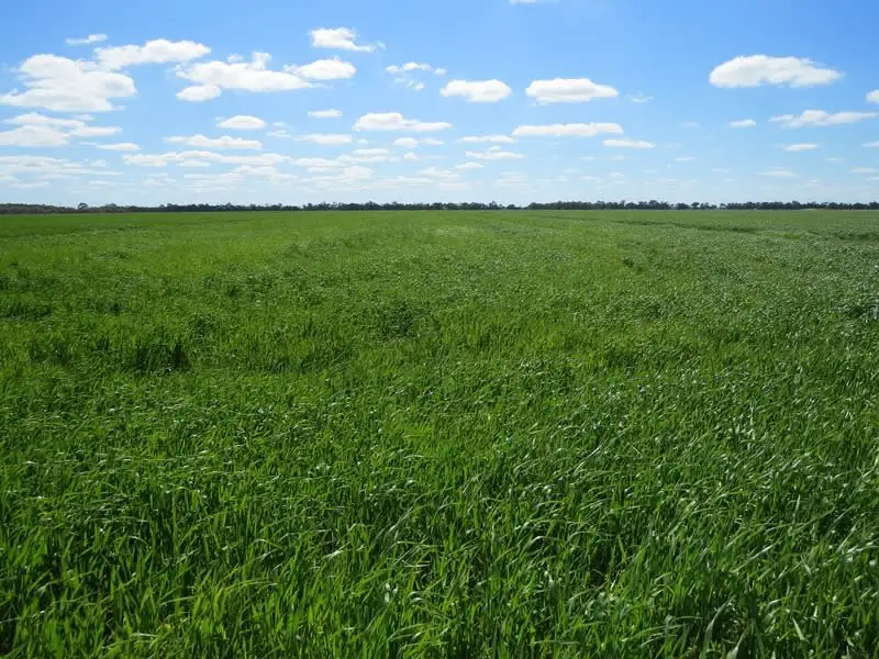Main view of Homely rural property listing, 94 Aratula North Road, Deniliquin NSW 2710