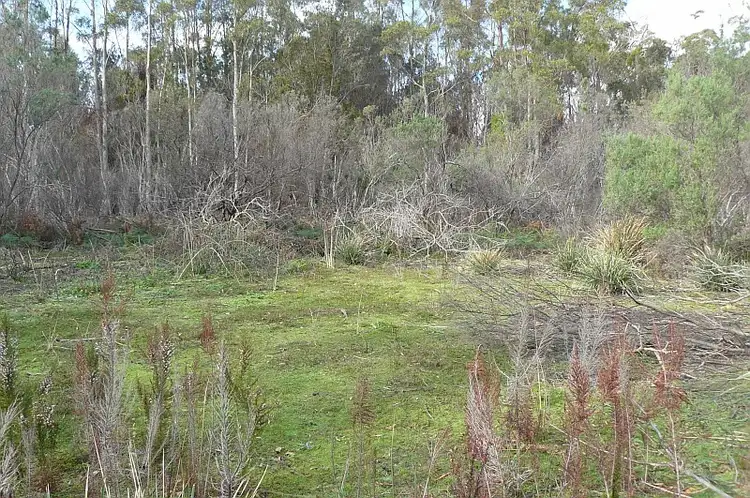 Sixth view of Homely land listing, Lot 1 Arthur Highway, Murdunna TAS 7178