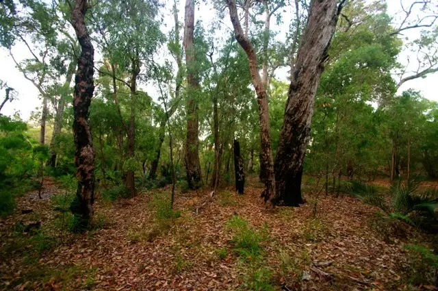 Third view of Homely land listing, 5 Dunkley Close, Molloy Island WA 6290